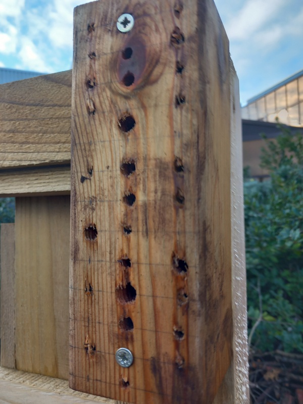 george hogg tweet media