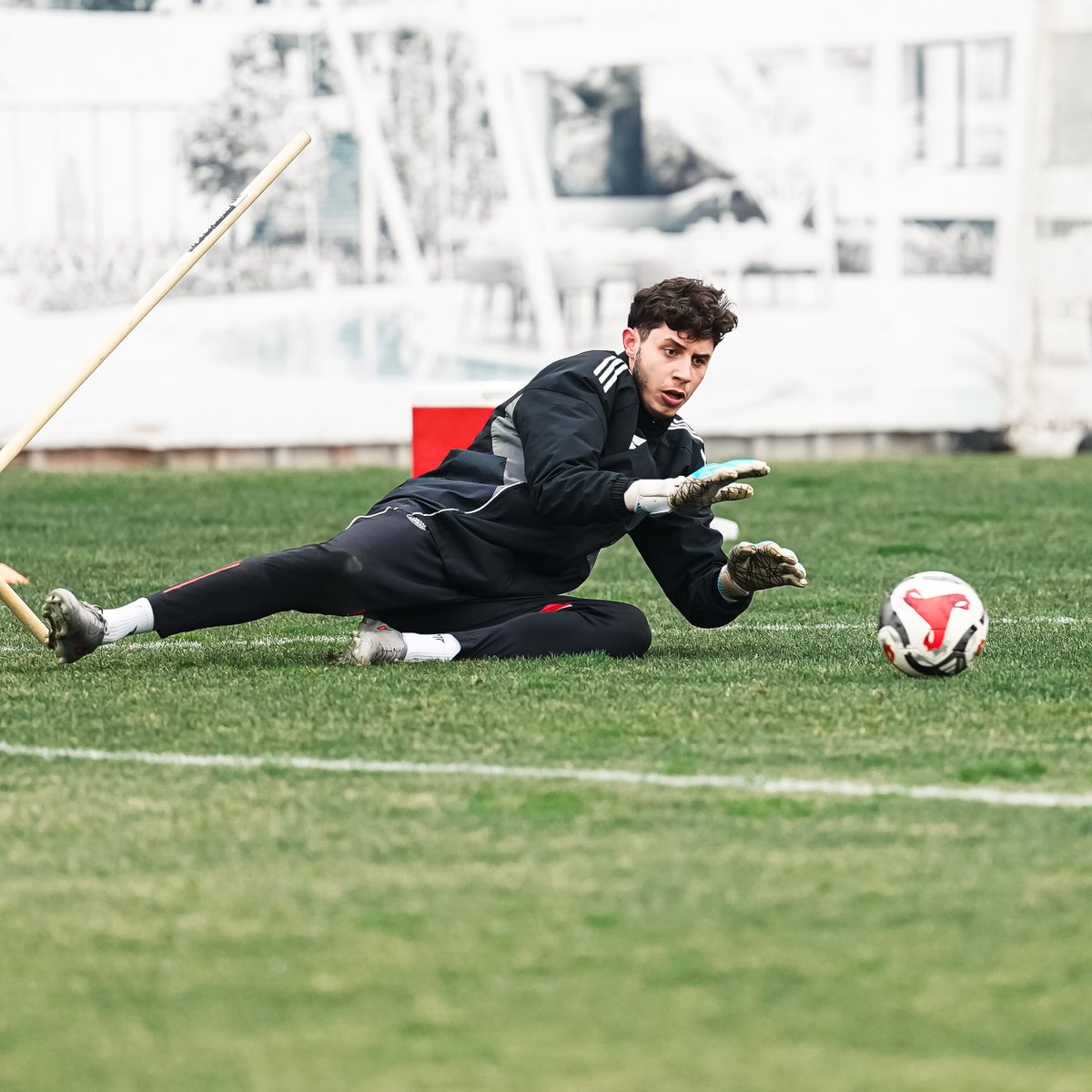 Pendikspor tweet media