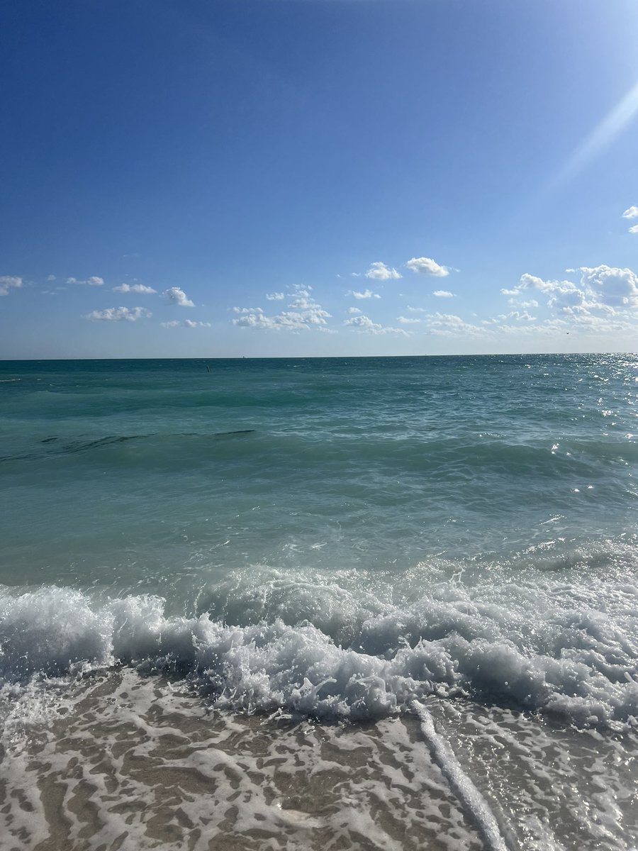 byejudymoody's tweet image. fantasizing about Florida the way people do about Japan