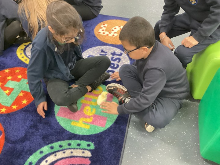 Wexham Court Primary tweet media