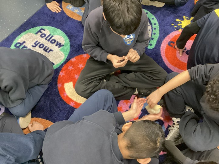 Wexham Court Primary tweet media