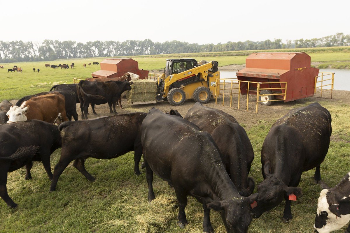 FoleyEngines's tweet photo. Foley &amp; Caterpillar offer several tools that are designed to help you maximize uptime &amp; make your equipment easy to manage. https://t.co/Q6Dp2Dj5Cg #RanchLife #Caterpillar #CattleCon https://t.co/saRoKUIP3g