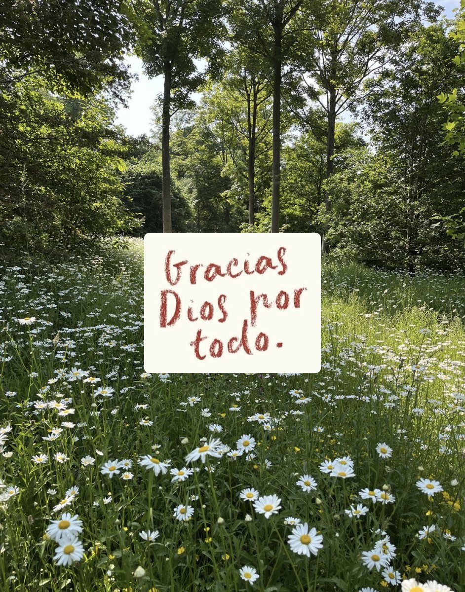 ramé (@escritosrame) on Twitter photo 