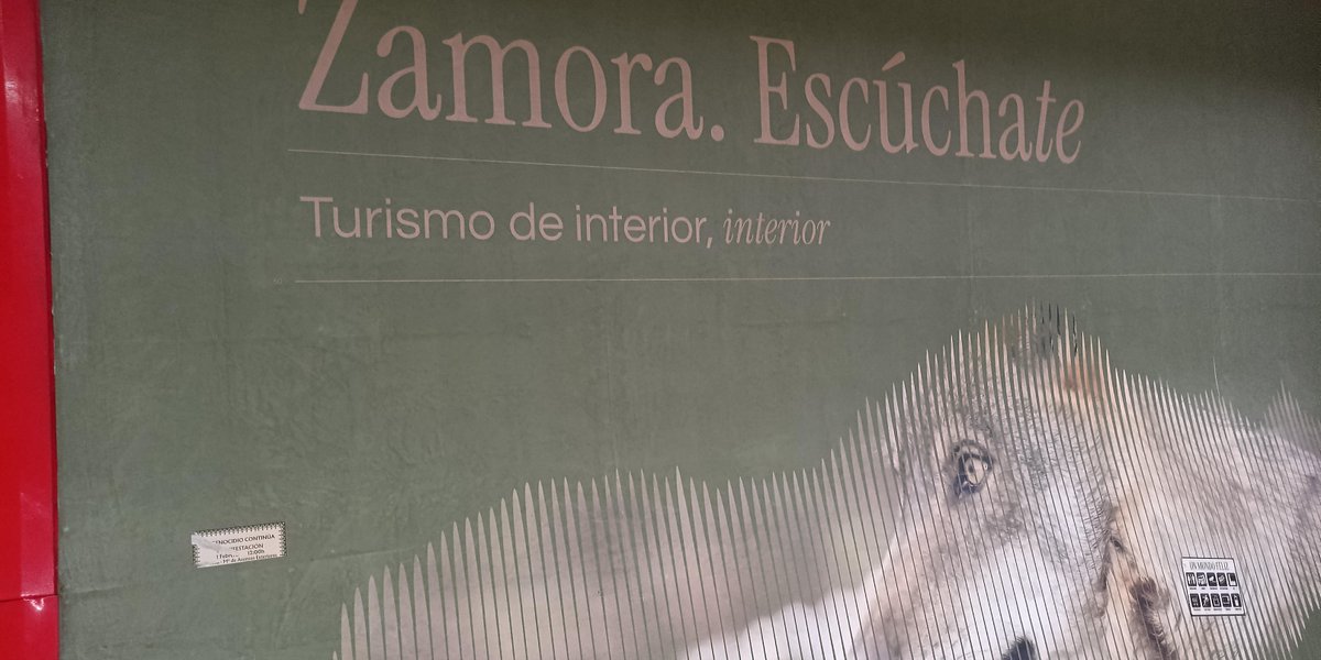 Zamora. Jejeje... Zamora. 

#dramonesymodorras