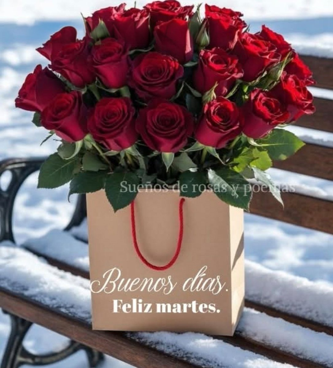 towersjuly's tweet photo. .
❤️🌹☕☀️Buenos días ☕🧣🌹❤️

Vamos a disfrutar de un hermoso día martes; que lo pasen muy bien 
❤️🌹☕☀️🌹❤️
. https://t.co/8DMlGRoVnN