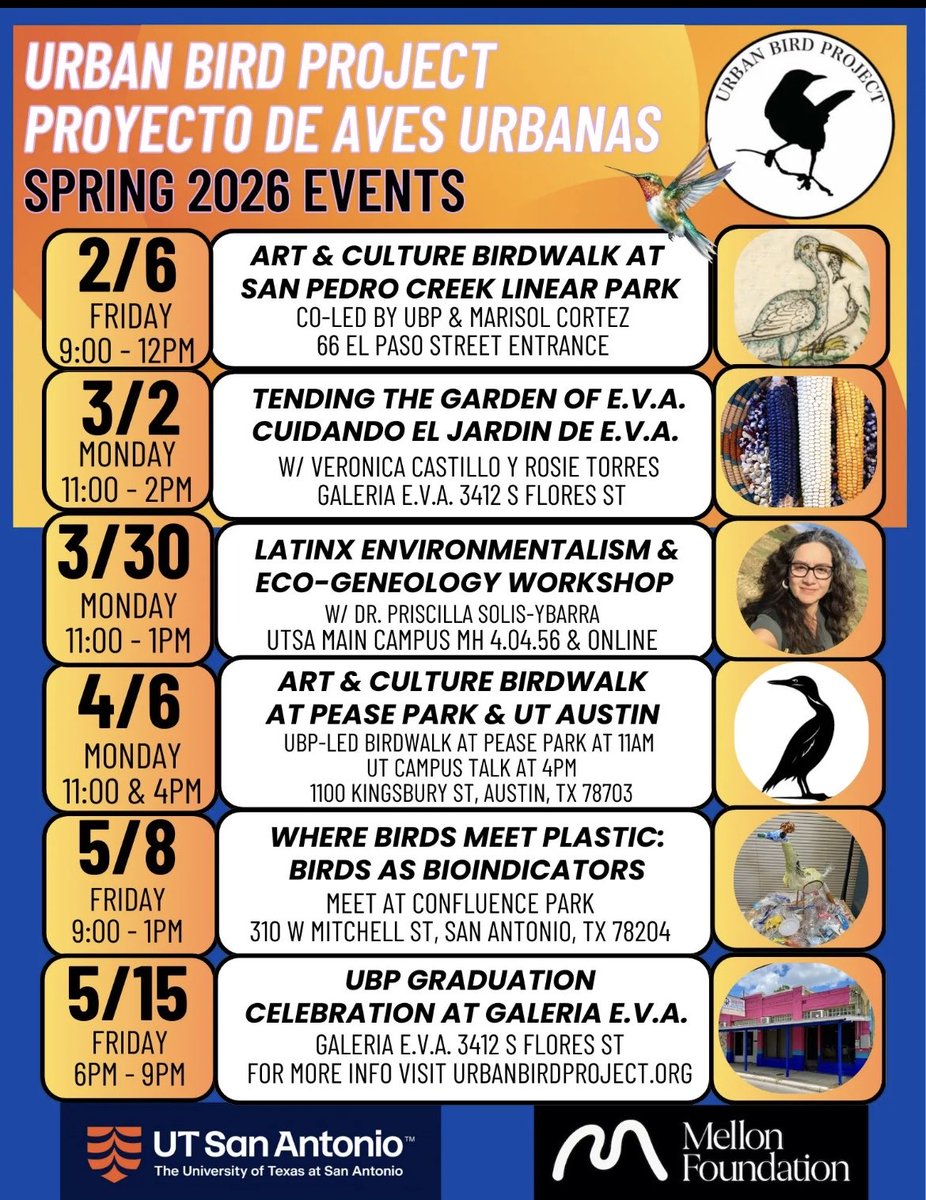 UTSA English tweet media