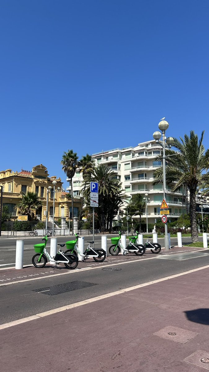 اسية tweet media