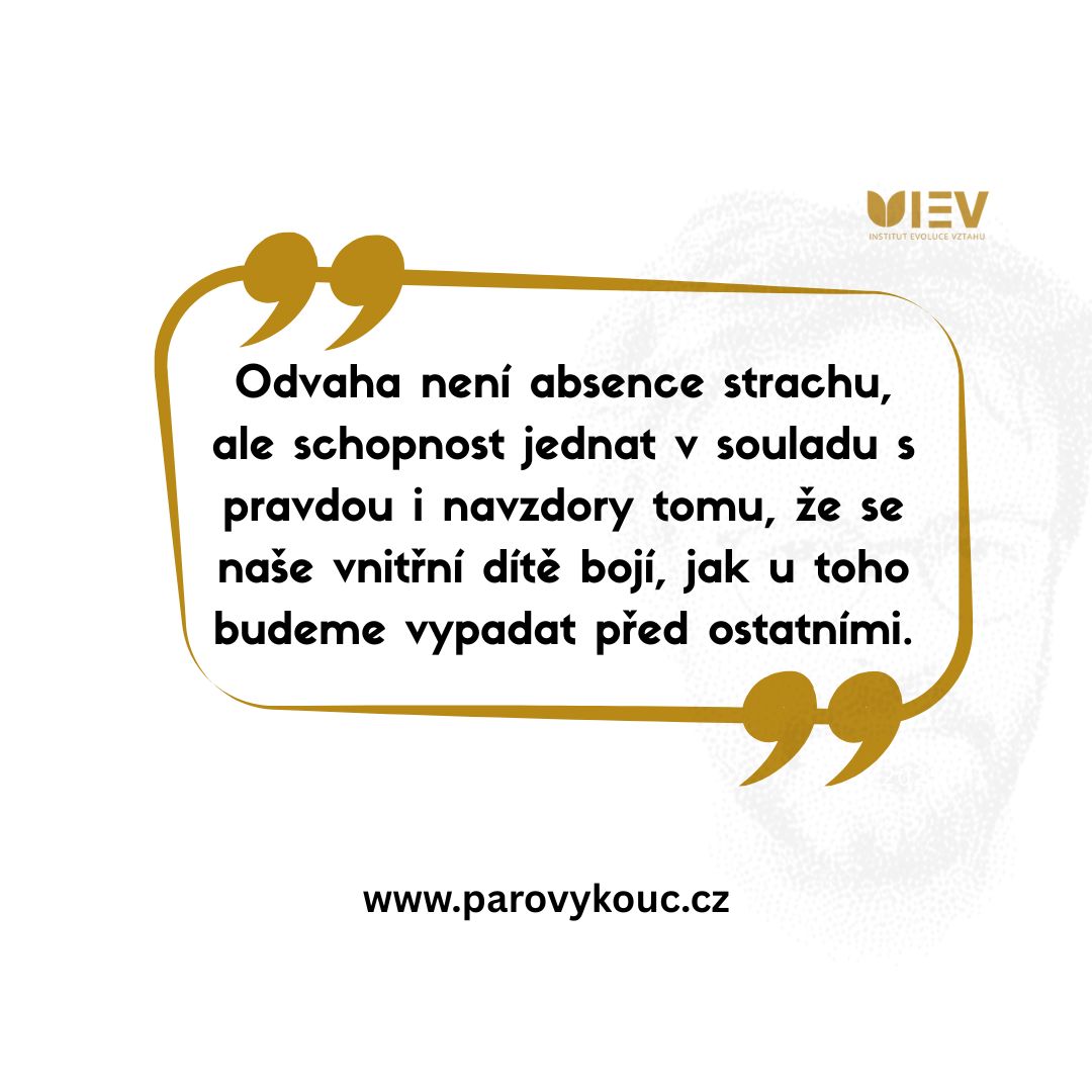 CoachSazovsky's tweet photo. 1/5 Odvaha není absence strachu. Pokud čekáte, až se přestanete bát, možná se nedočkáte nikdy. Skutečná síla začíná tam, kde jednáte podle pravdy – i s třesoucími se koleny. 🧵 https://t.co/dr3v7Ss9vw
