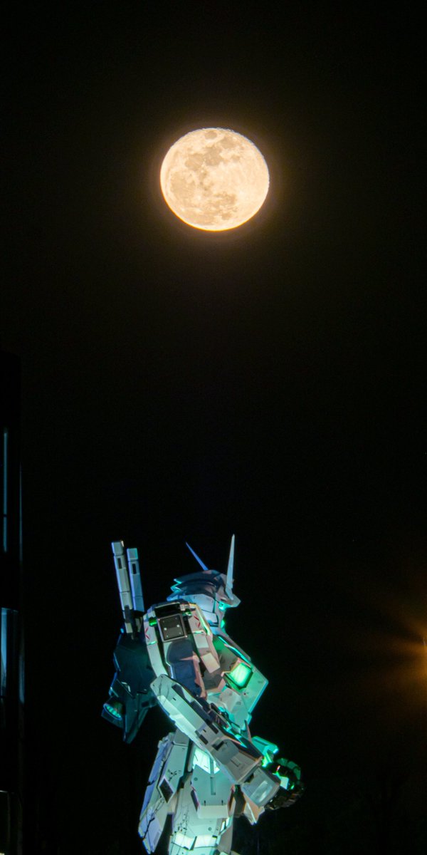 よっくん (@yoshi115t) / Posts / X