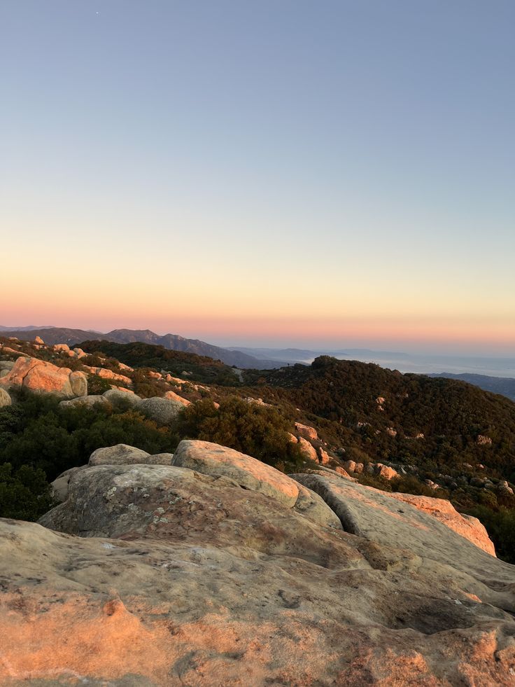 Carnivore Aurelius ©🥩 ☀️🦙 tweet media