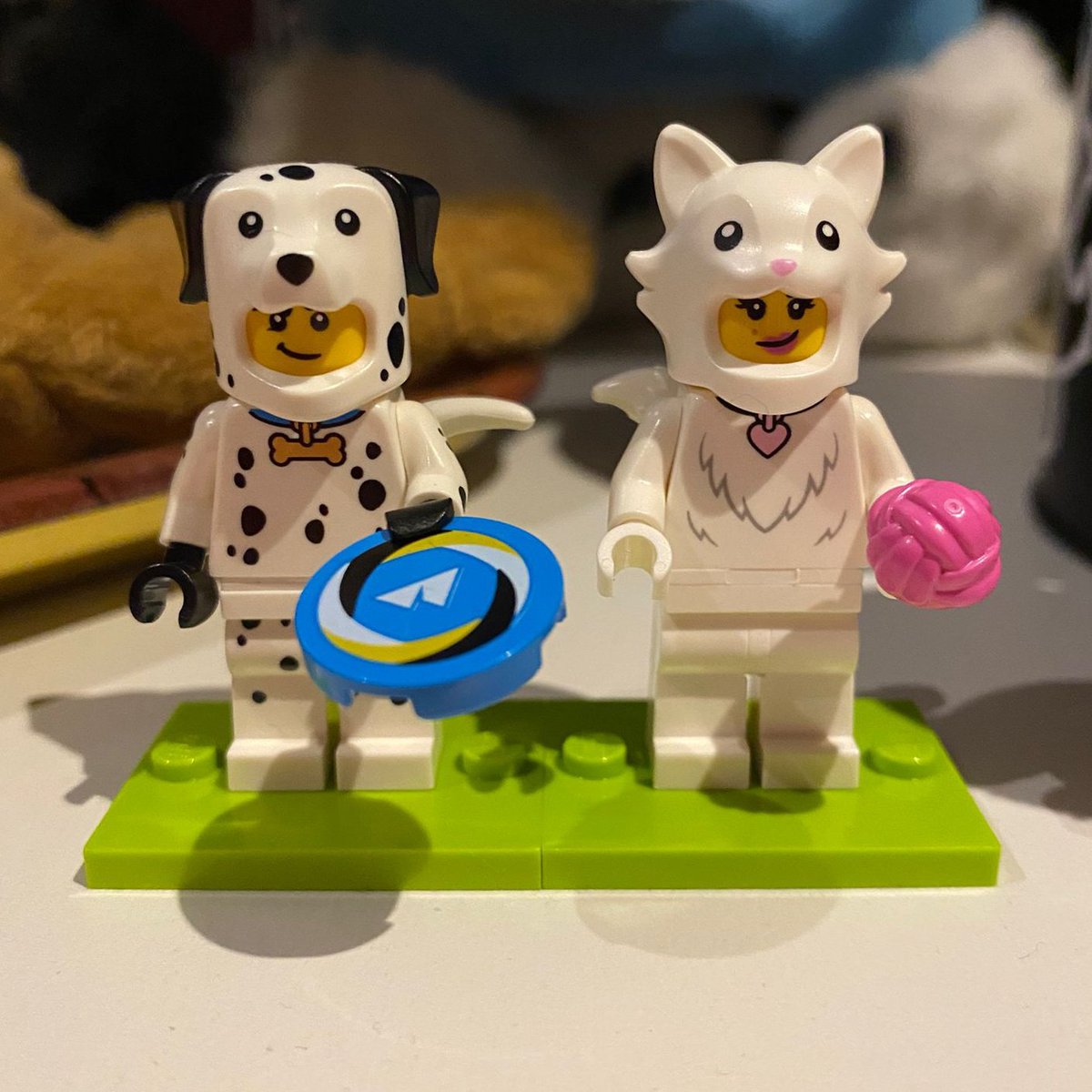 beck 🐾 tweet media