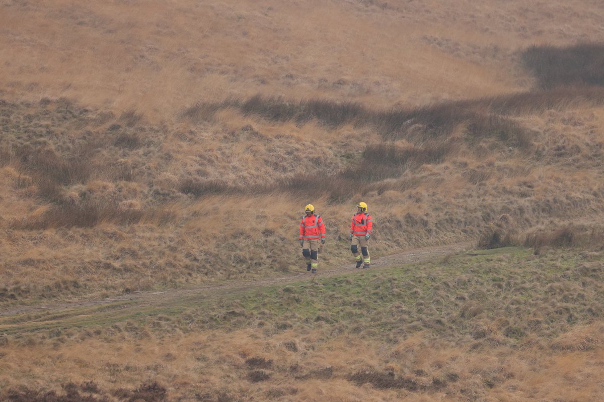 David Murphy tweet media