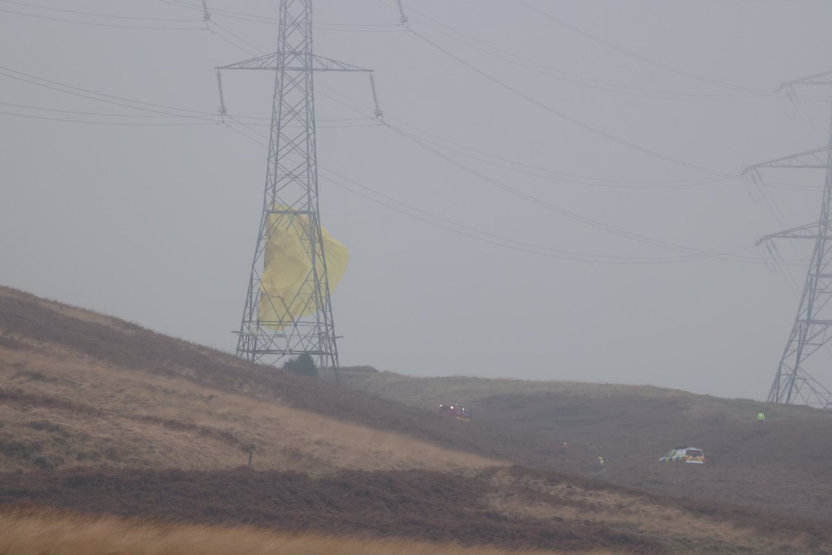 David Murphy tweet media