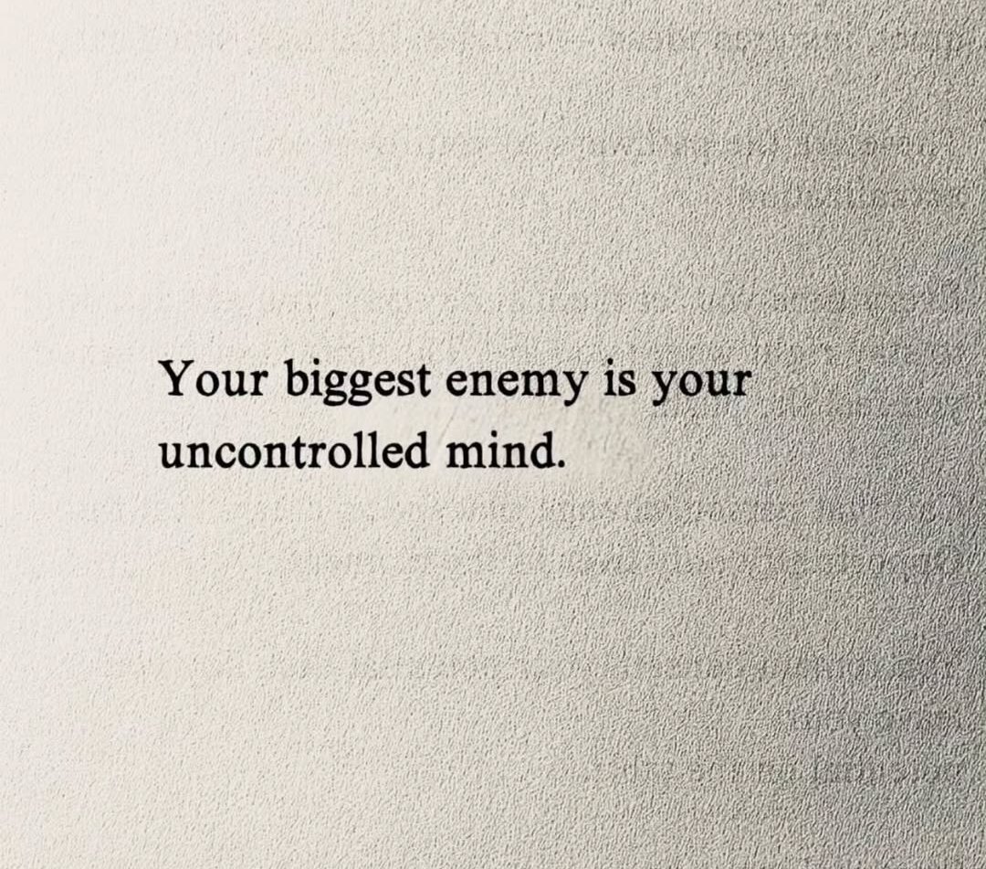 Seek Wiser (@seekwiser_) on Twitter photo 