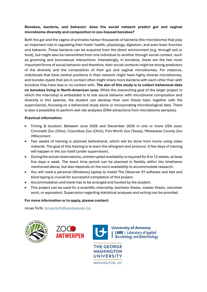 jonasrrtorfs's tweet photo. 👀 Looking for a dissertation topic or research internship? 
🐵 Always wanted to observe great apes? 
🌟 This is your chance! Several positions are available to observe zoo-housed bonobos in the United States! ⬇️ See below for more information about the project 🐵🦠 https://t.co/E4GKilyqbx