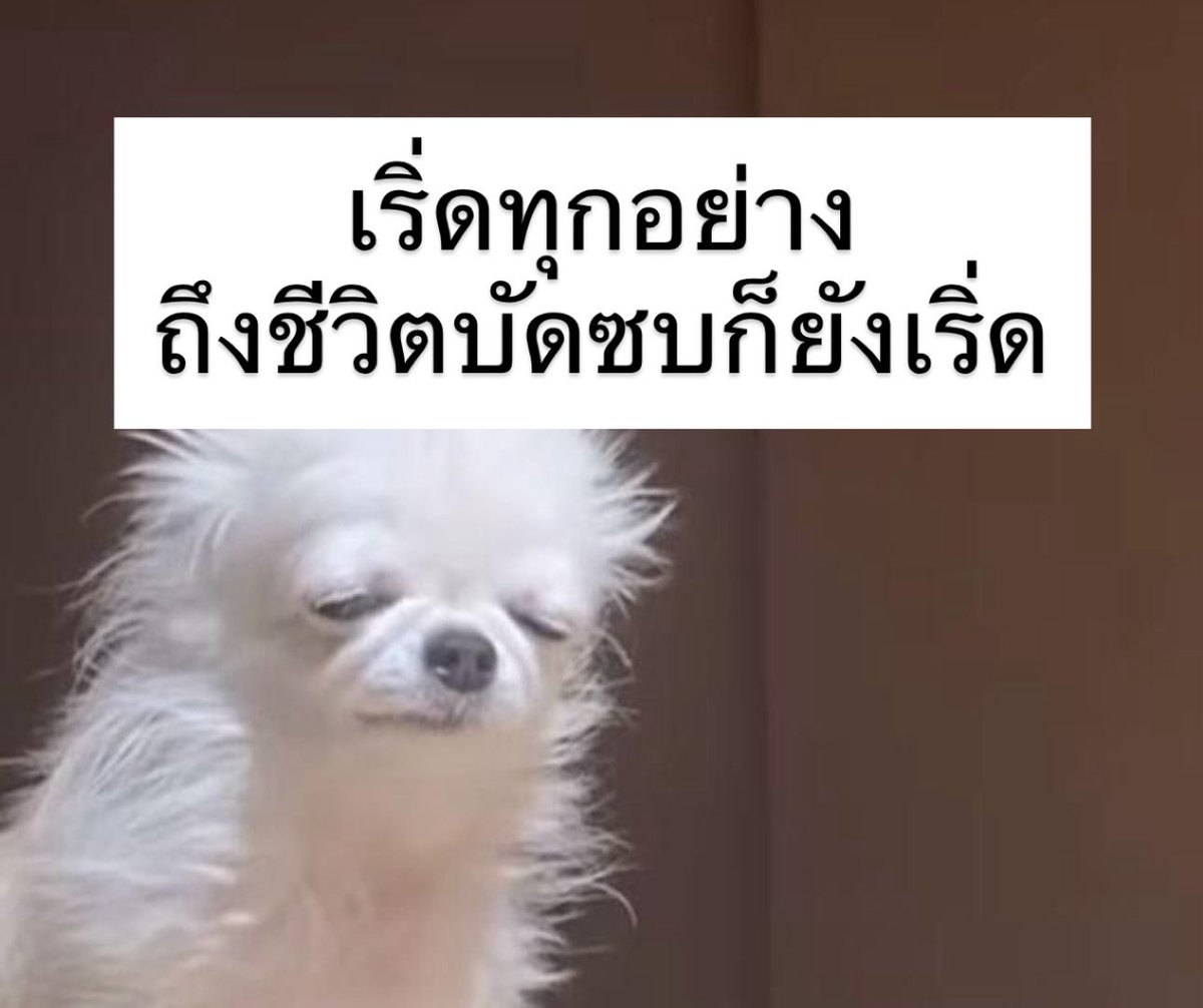 sutiฯ tweet media