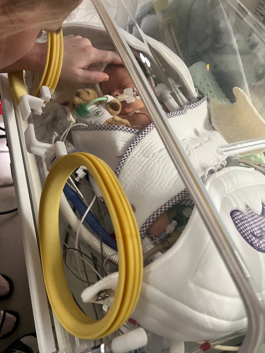 Lauren Cresswell tweet media