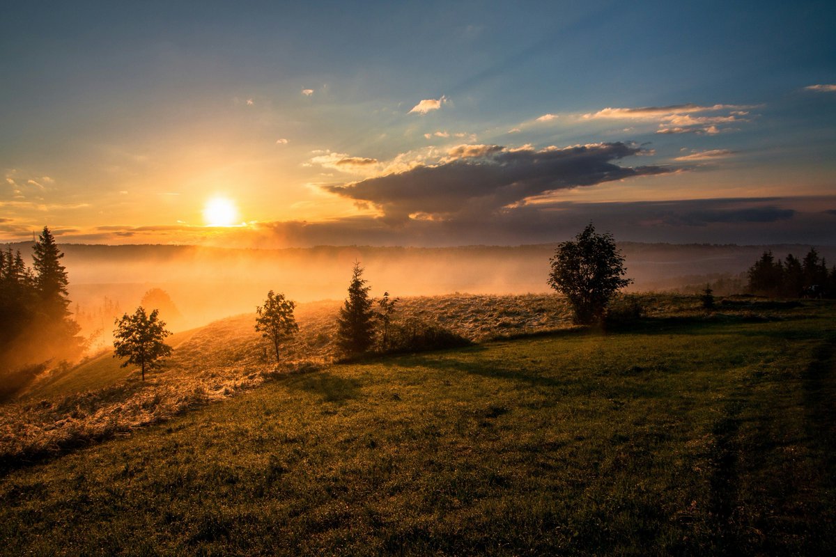 AGSTORELLC's tweet photo. Mornings or evenings?

Some folks do their best thinking before the day starts. Others after everything slows down.

Which one are you? 

#QuietMoments https://t.co/V7LM0L3Fxs