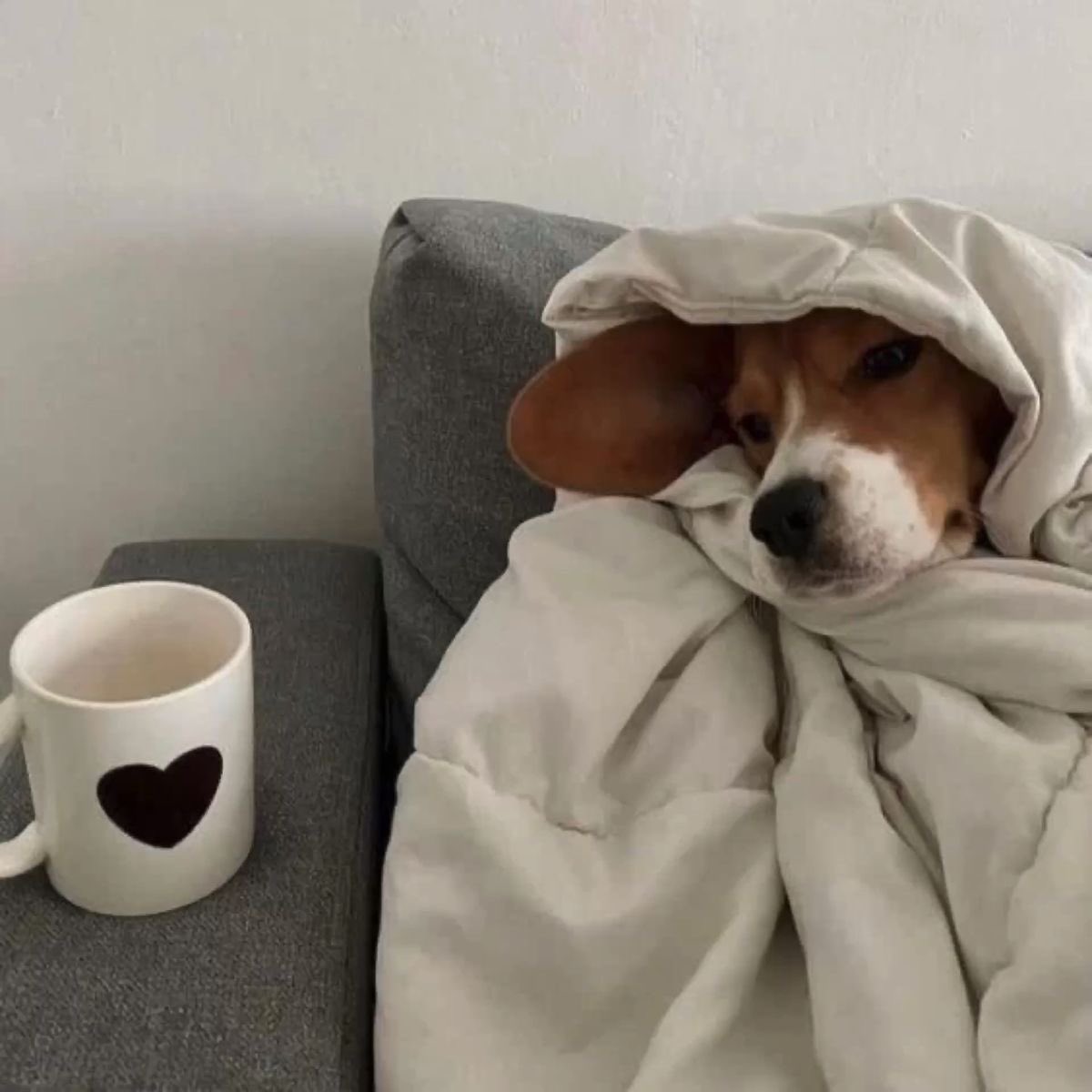 ‘เมื่อไหร่จะวันศุกร์ซักที’