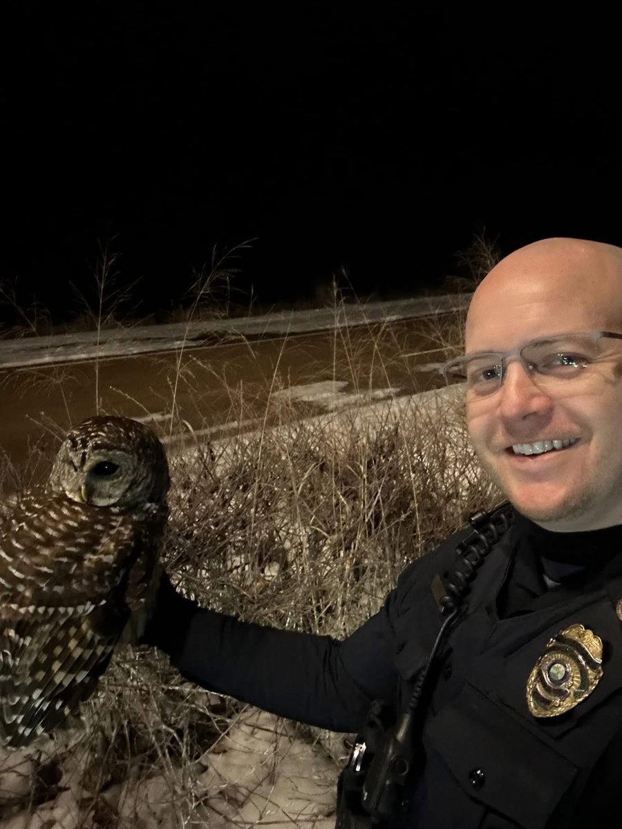 Germantown TN Police tweet media