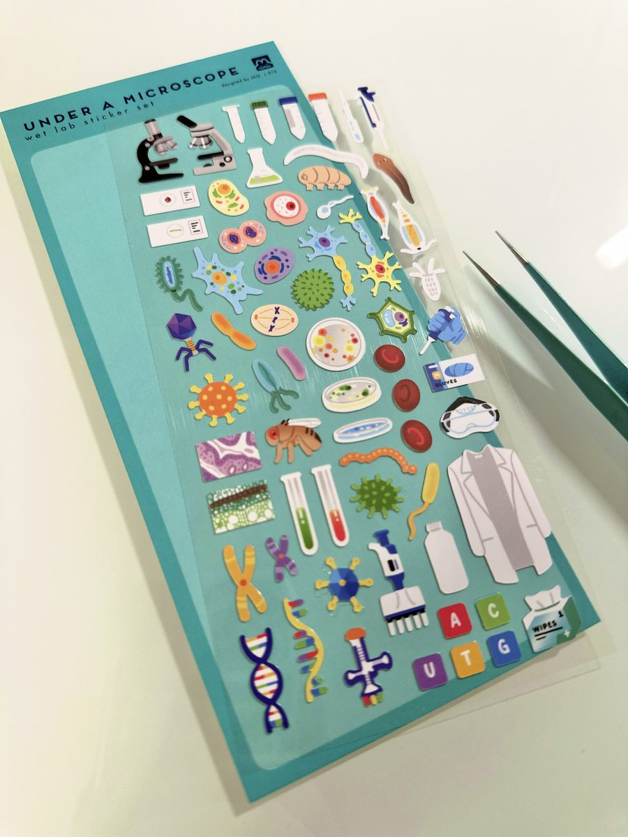 JAQ ⏭️ SHOP OPEN tweet media