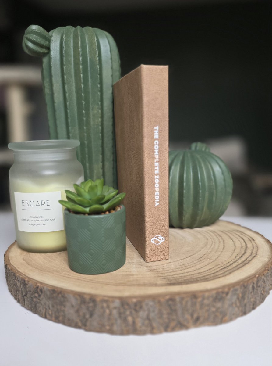 MERCI ❤️  <a href="/frontierdev/">Frontier</a> <a href="/PlanetZooGame/">Planet Zoo</a> pour ce superbe cadeau ! La Zoopédie complète de Planet Zoo dans un livre ! Il est tout simplement magnifique 🤩🫶🏼 ! 
(<a href="/RudiRennkamel/">The Camel</a> je te vois 😜👀🐪)