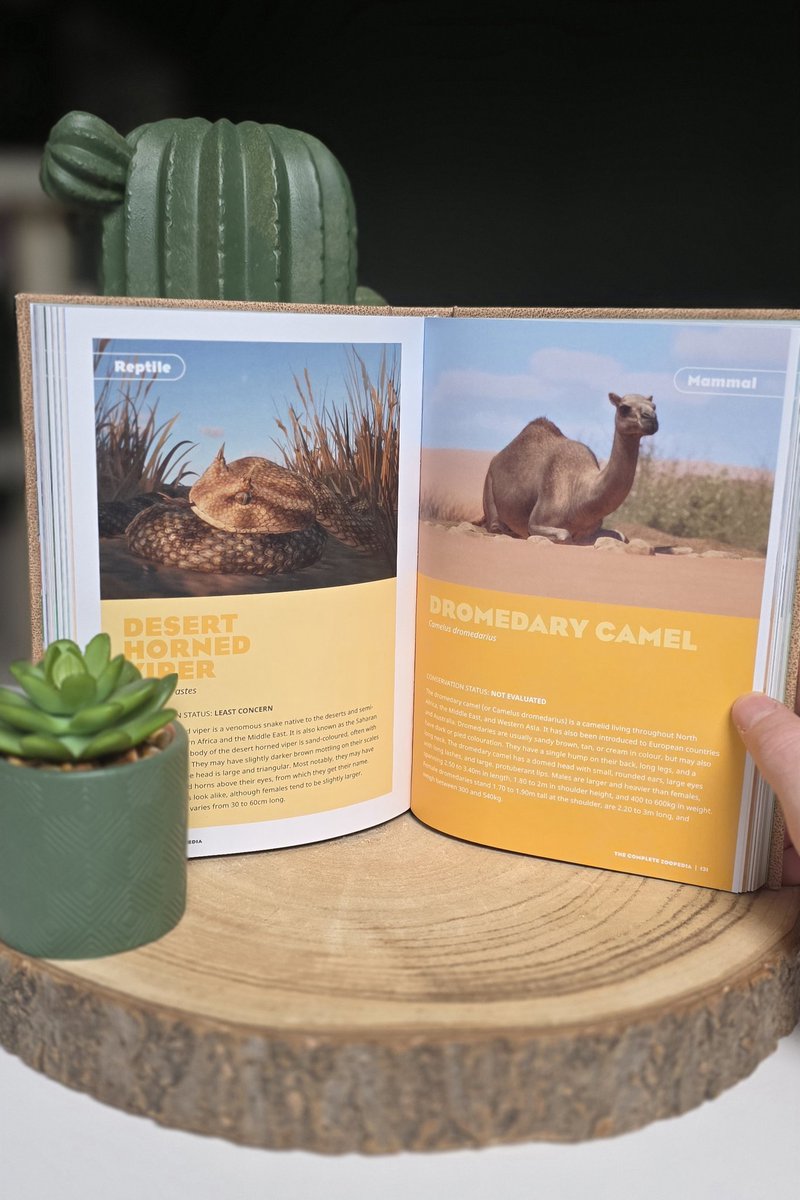 Shiftzie tweet media