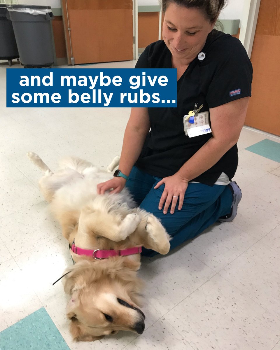 ChildrensSpecNJ's tweet image. Thank you Gallop &amp;amp; Maui for taking over on National Golden Retriever Day! 🐾

Maui and Gallop spread joy throughout our hospitals and we are grateful for all they do!💛

Visit rwjbh.org/childrens-spec…

#GoldenRetrieverDay #PetTherapy