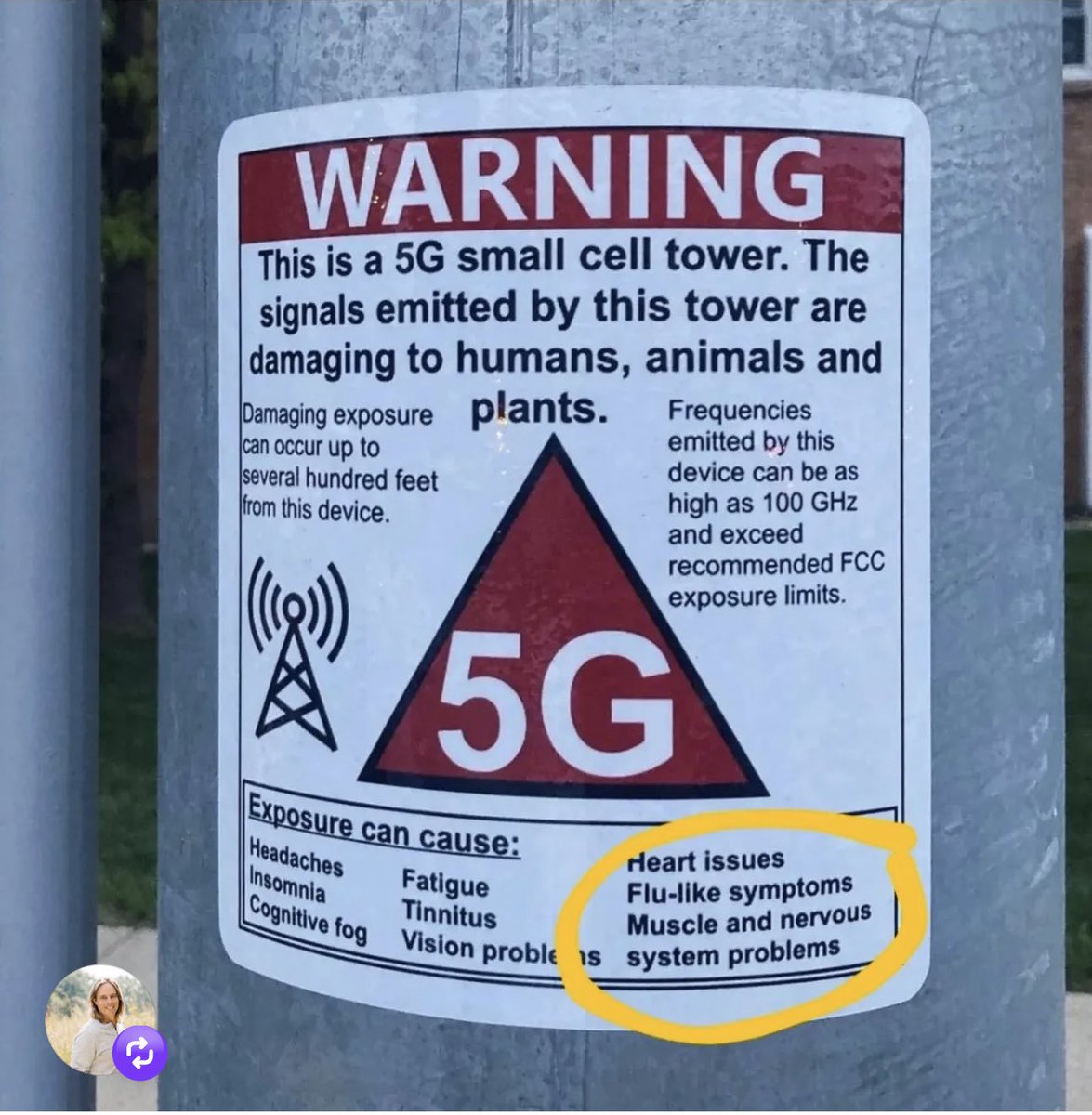 Carrie Madej (@carrie_madej) on Twitter photo 