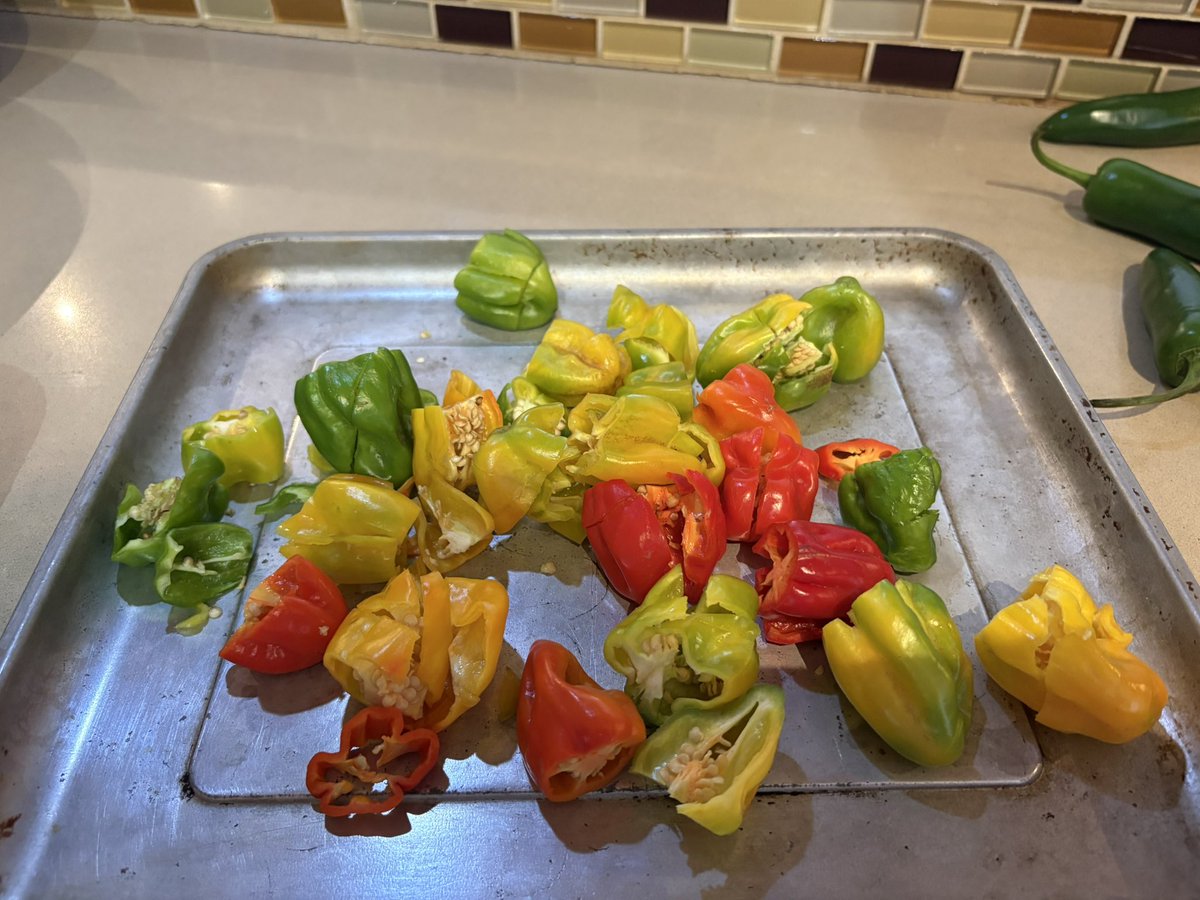 Jonathan Kay tweet media