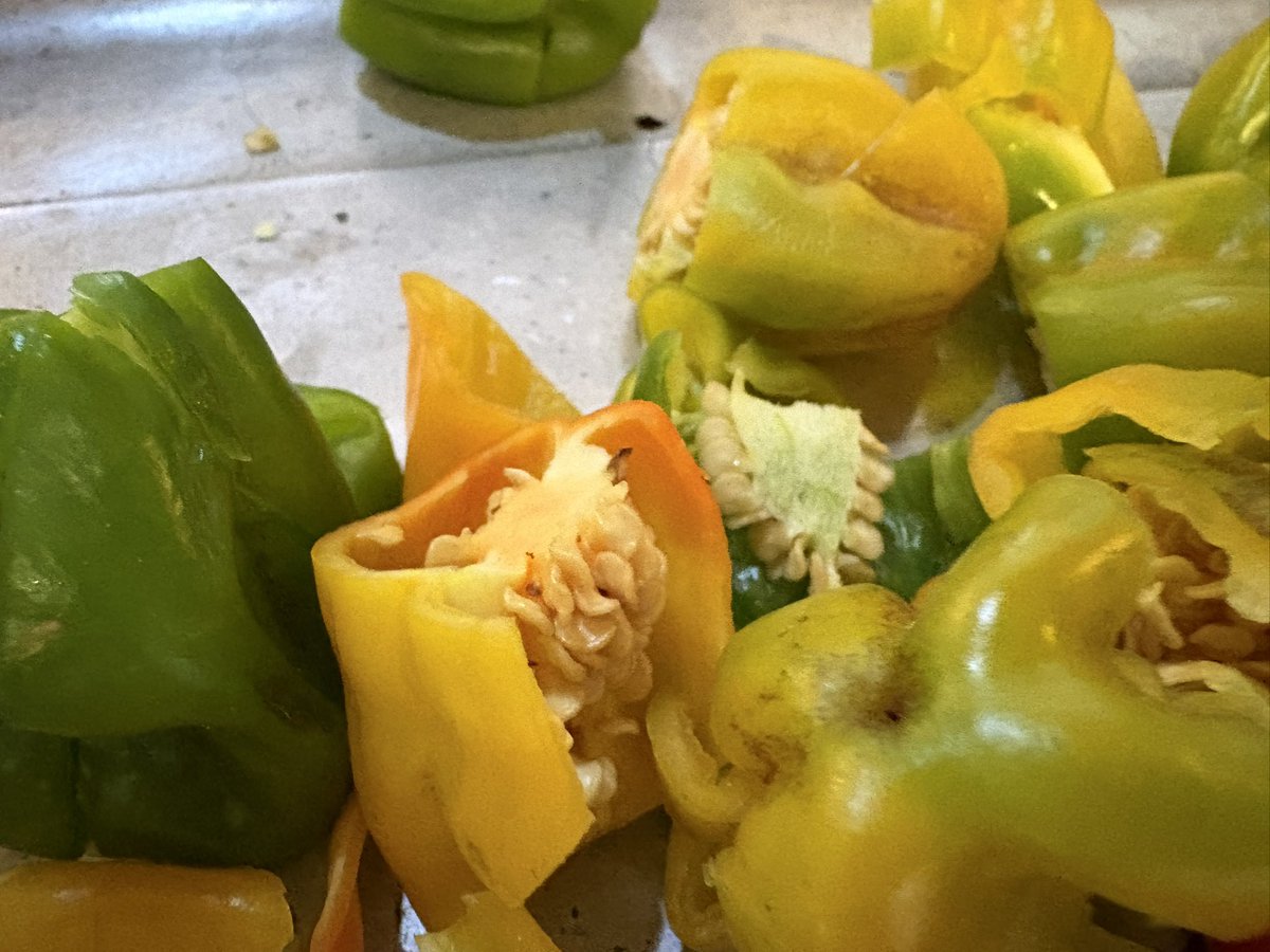 Jonathan Kay tweet media