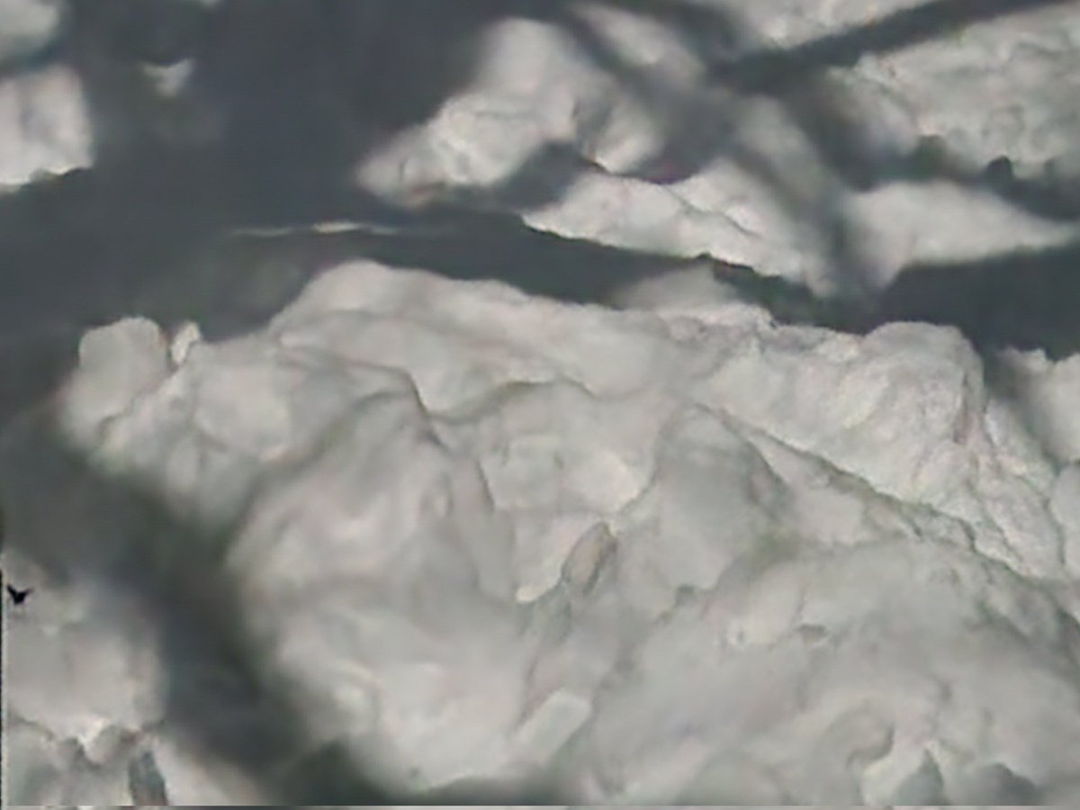 ONdave's tweet photo. Sycamore Snow Shadows:
With the "Full Snow Moon" shining through our backyard sycamore tree, and clear skies at midnight on Sunday, Feb 1, I captured these shots from an upstairs window.  The snow dunes are due to clearing 18" of recent snowfall from the adjacent deck. https://t.co/N4CRxYGNA0