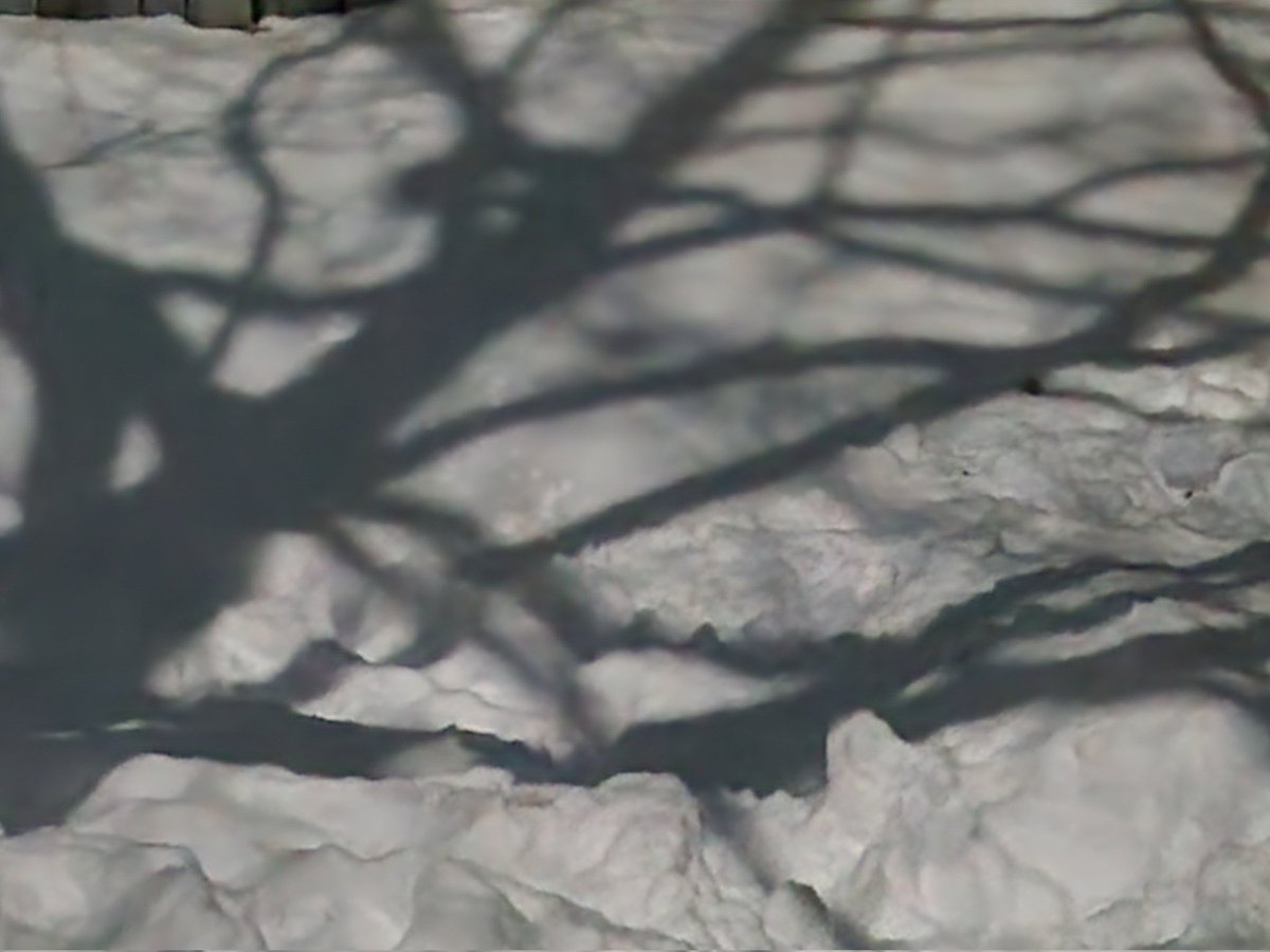 ONdave's tweet photo. Sycamore Snow Shadows:
With the "Full Snow Moon" shining through our backyard sycamore tree, and clear skies at midnight on Sunday, Feb 1, I captured these shots from an upstairs window.  The snow dunes are due to clearing 18" of recent snowfall from the adjacent deck. https://t.co/N4CRxYGNA0