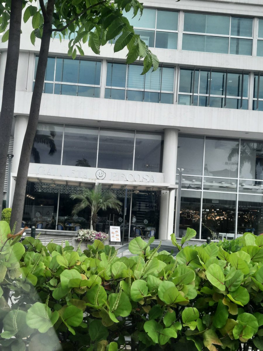 CesarFNoboa1's tweet photo. Conocida panadería de zona exclusiva de samborondom ya debería hacer renovación de su cartel , no divisa ni de cerca https://t.co/NBb5T2EdXa