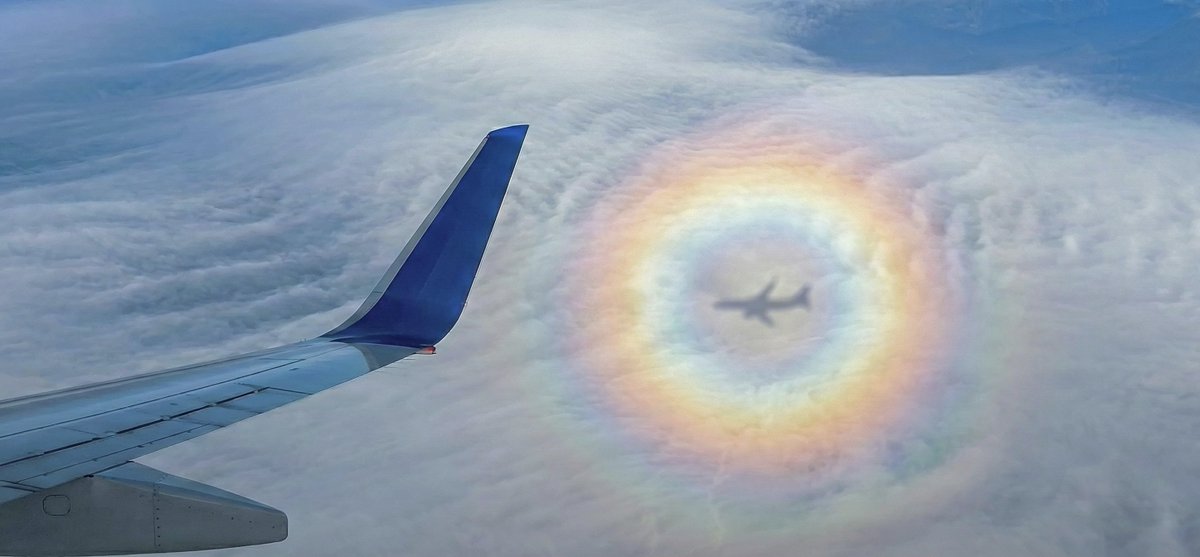 Hayden-Z tweet media