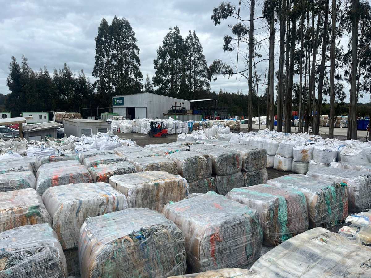 CDSustentable tweet media