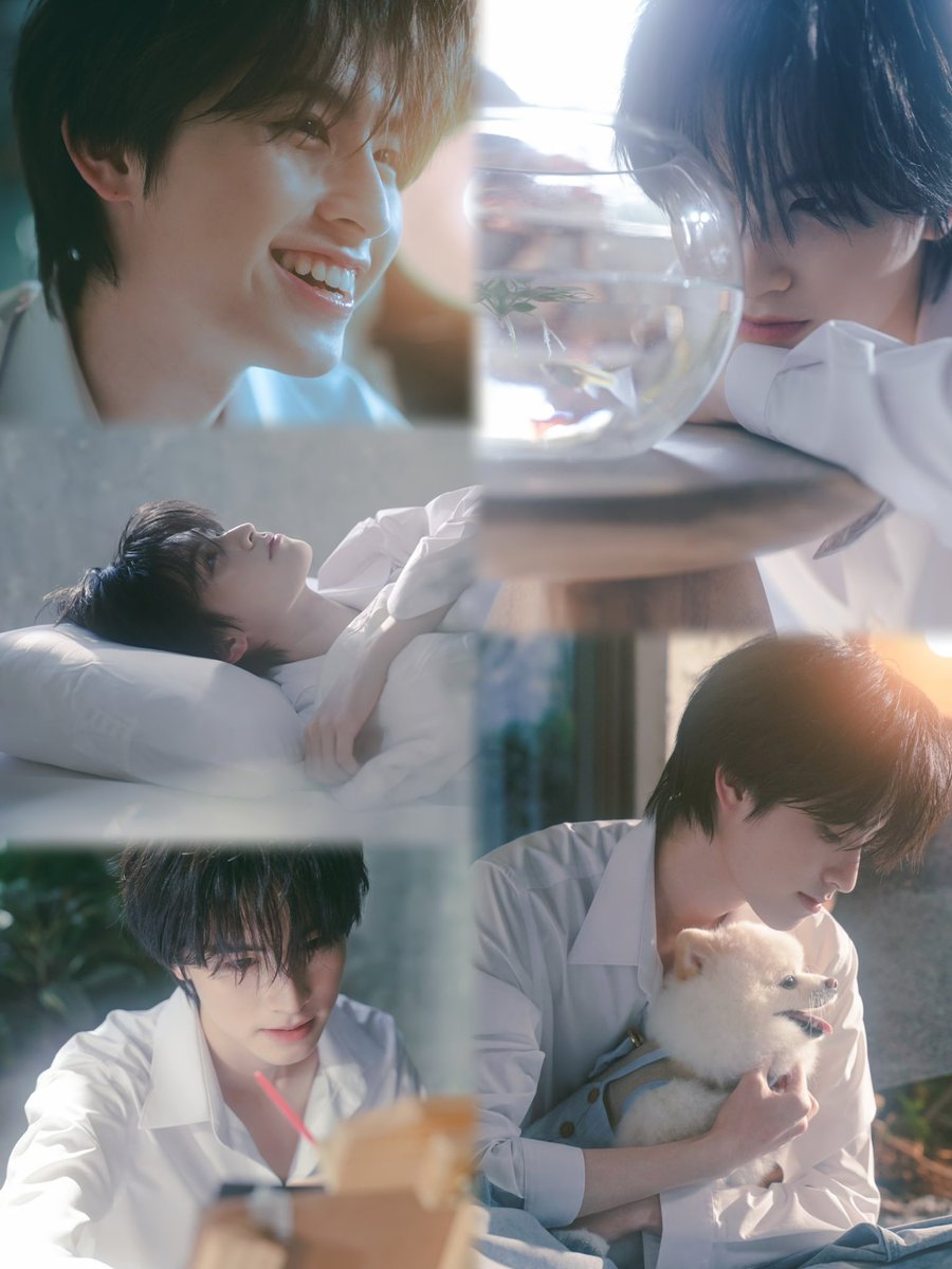 คุณหนู ʙʙ •◡̎• 𝗔𝗔_𝗯𝗹𝘂𝗲❣️ tweet media