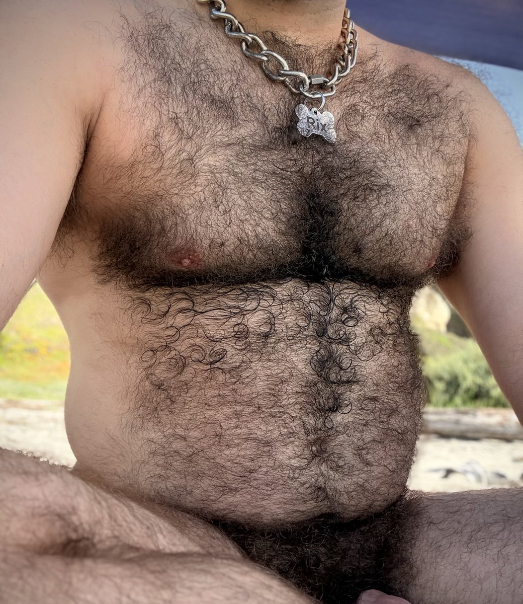Hairy Bush Bro tweet media