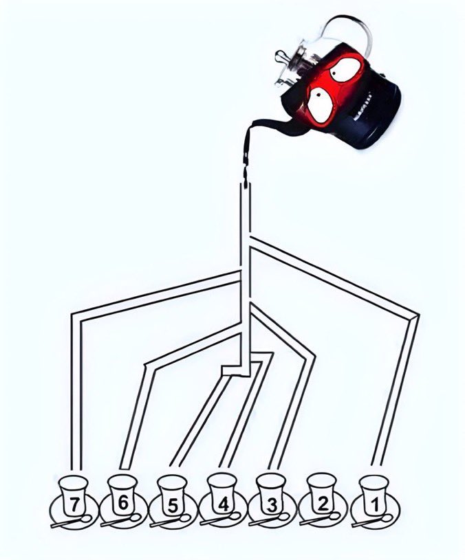 kaç numaralı bardak dolar ?