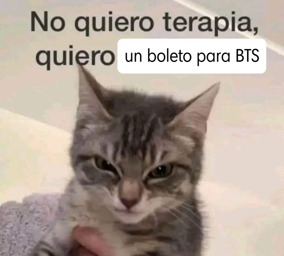 lxbtsxpjh_'s tweet photo. Si a alguien le sobra dos boletos, ya sea en  naranja o cualquier zona PERO POR FAVOR SOLO OCUPO DOS PARA ESTAR EN PAZ https://t.co/2vGCuZaX9y