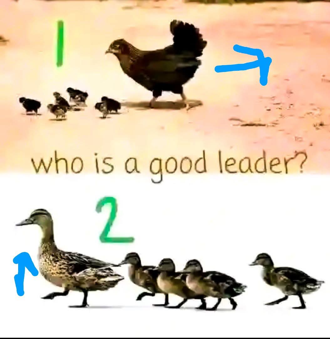 AbdullahiAdeol7's tweet photo. Think before you talk 🦜 https://t.co/Gb6AZexoB8