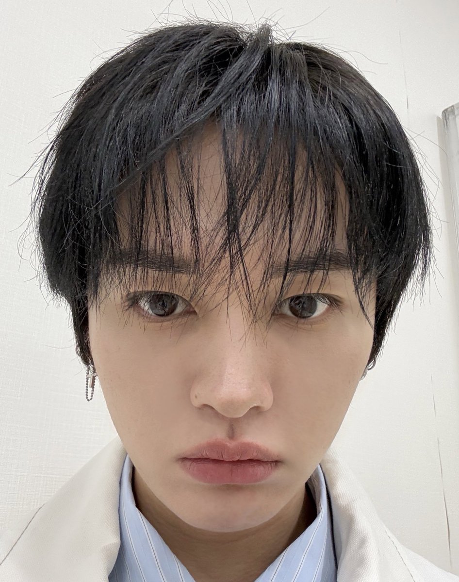 lee know as cats 🐱 tweet media