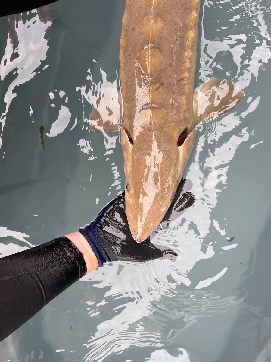 Andrew Briggs tweet media