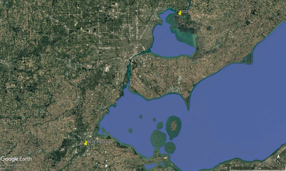 Andrew Briggs tweet media