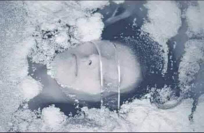 سليمان الفهد tweet media