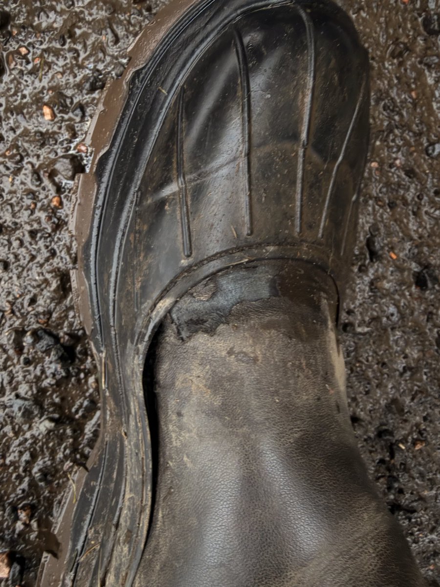 Hoodsmin's tweet photo. @HunterBoots absolutely love these boots but they can’t handle the Scottish weather! Not even 3 months old and only wearing them 1 hour a day Monday to Friday! Sent a complaint no reply which is annoyed me #hunterboots 
#boots #hunter https://t.co/zAwQOLaydi