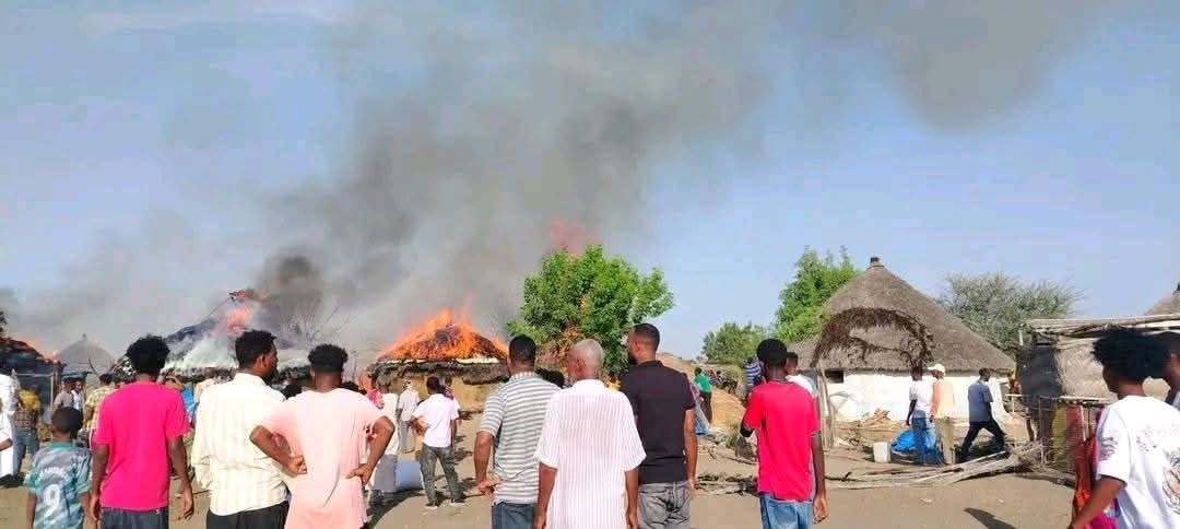 Danait 70⏳ tweet media