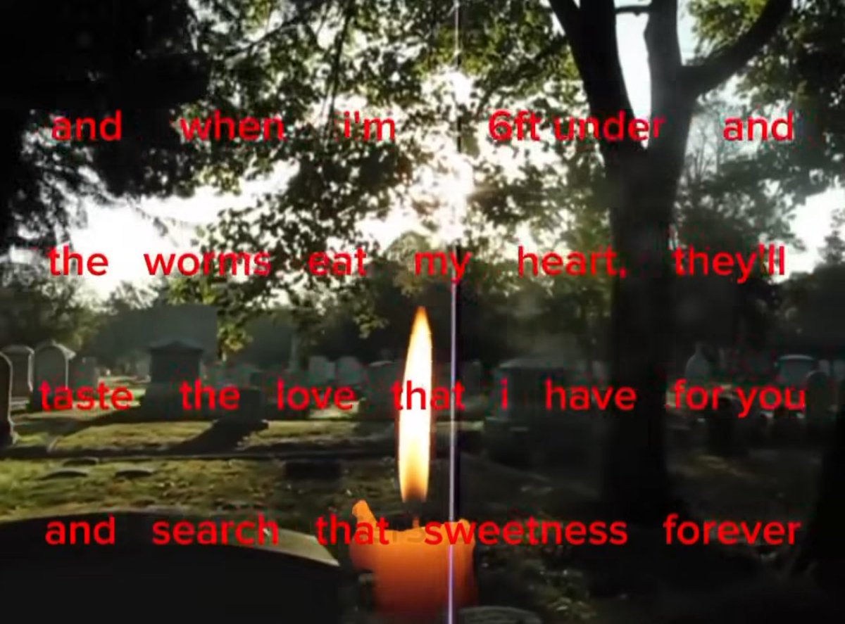 dylan🦇 tweet media