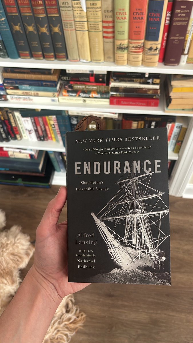 Logan Hall tweet media