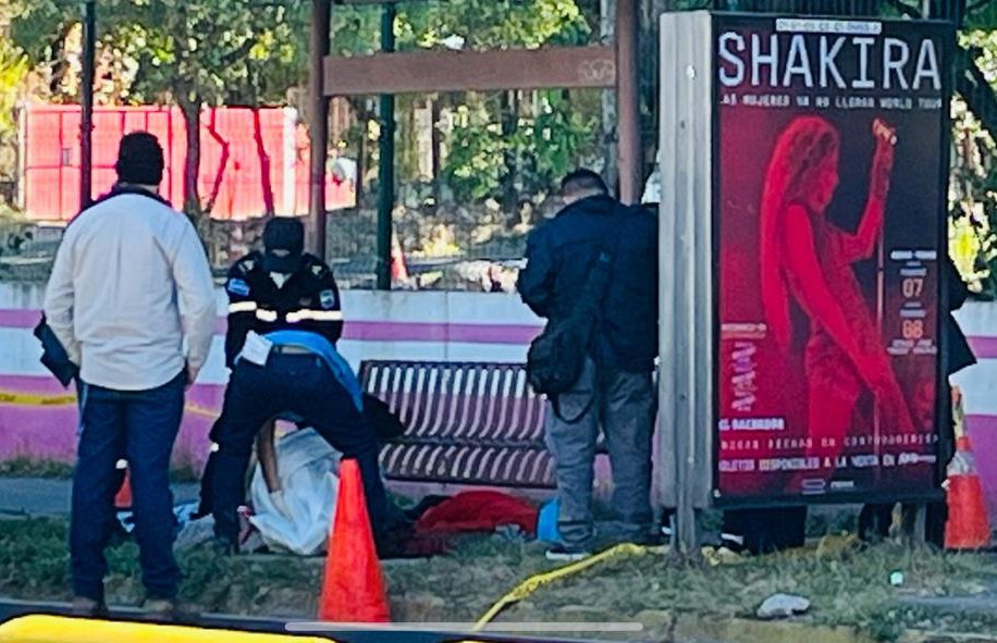 Oscar Machon tweet media